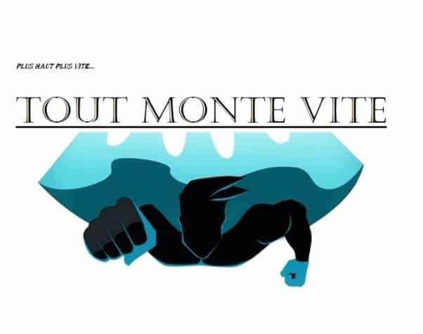 TOUT MONTE VITE à Rennes, Noyal chatillon monte-meubles
